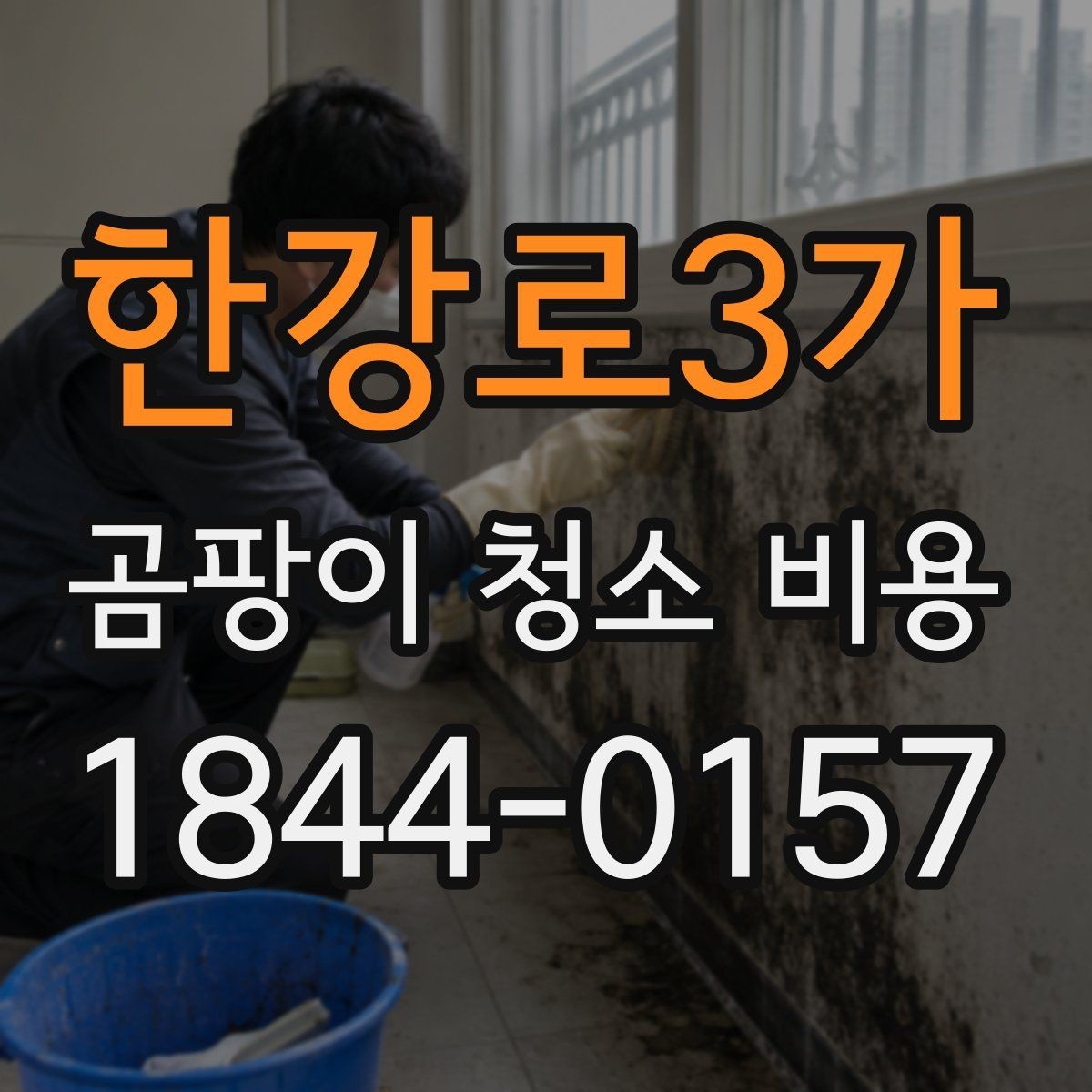 한강로3가 곰팡이 청소 비용 붙박이장 내부 오염이 넓을 때 살펴볼 점
