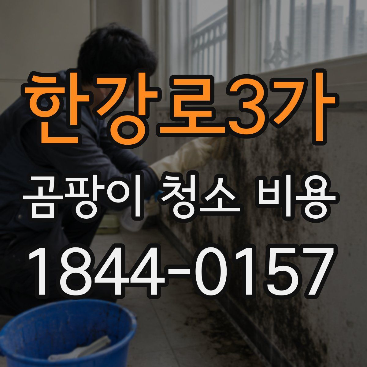 한강로3가 곰팡이 청소 비용