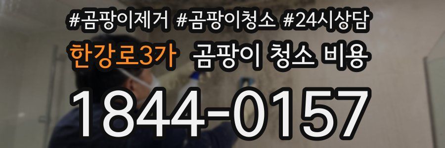 한강로3가 곰팡이 청소 비용