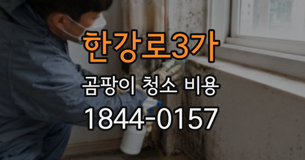한강로3가 곰팡이 청소 비용