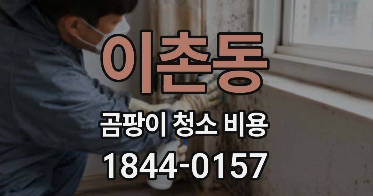 이촌동 곰팡이 청소 비용