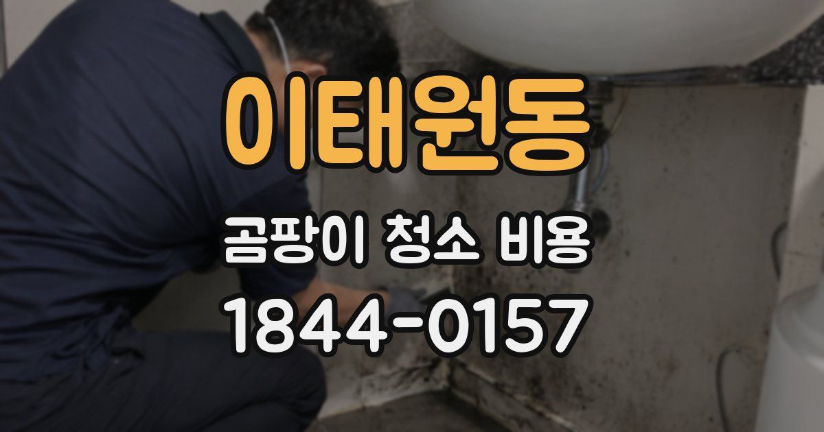 이태원동 곰팡이 청소 비용