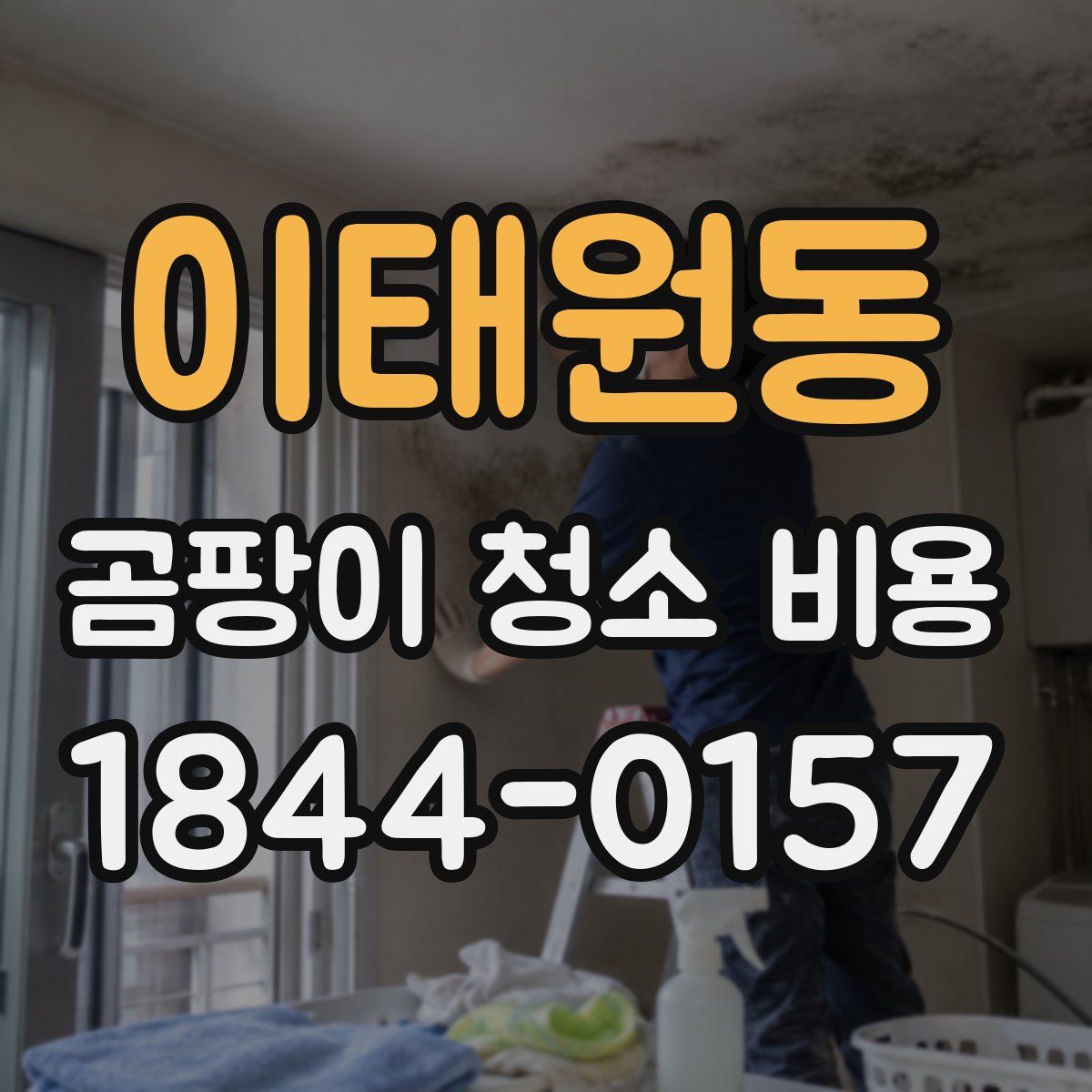 이태원동 곰팡이 청소 비용