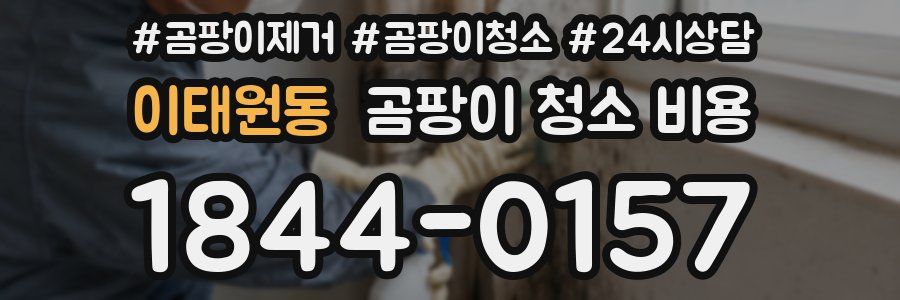 이태원동 곰팡이 청소 비용