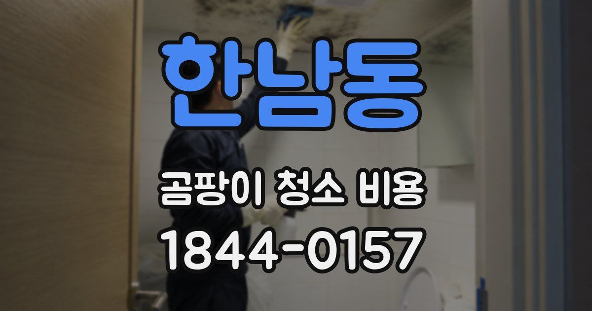 한남동 곰팡이 청소 비용