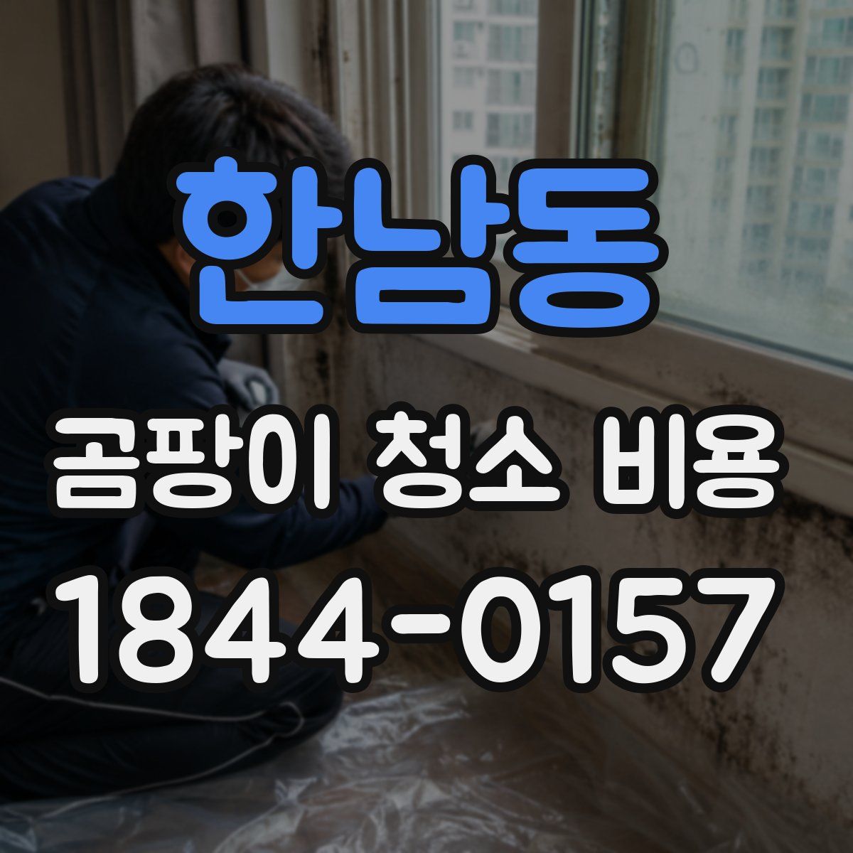 한남동 곰팡이 청소 비용