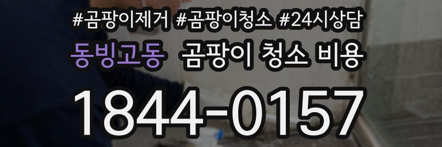 동빙고동 곰팡이 청소 비용