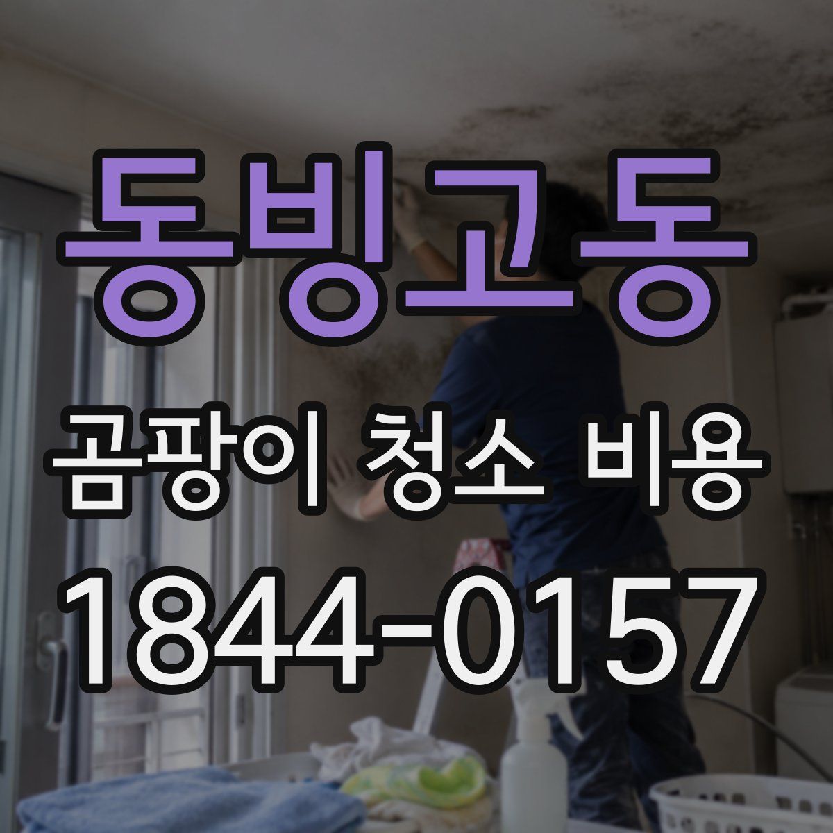동빙고동 곰팡이 청소 비용