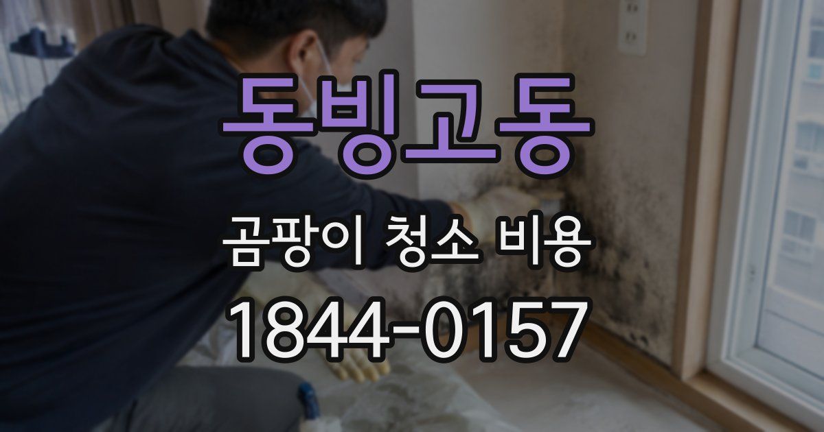 동빙고동 곰팡이 청소 비용