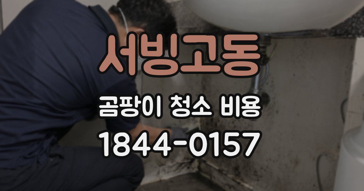 서빙고동 곰팡이 청소 비용