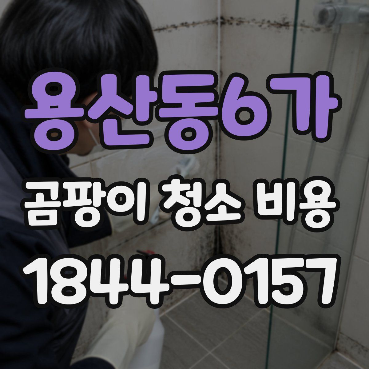 용산동6가 곰팡이 청소 비용