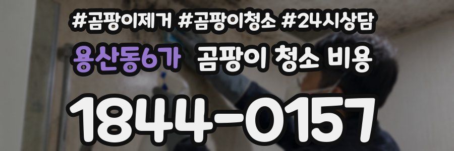 용산동6가 곰팡이 청소 비용