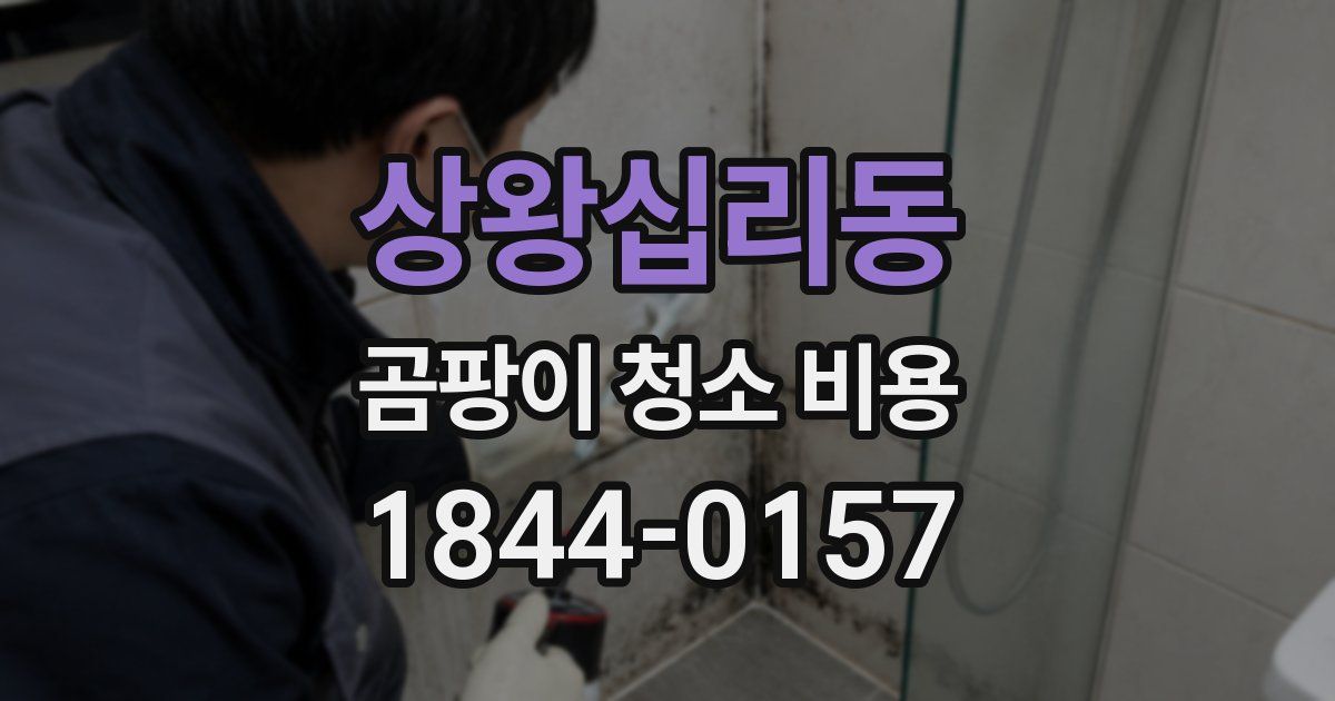 상왕십리동 곰팡이 청소 비용