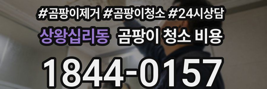 상왕십리동 곰팡이 청소 비용