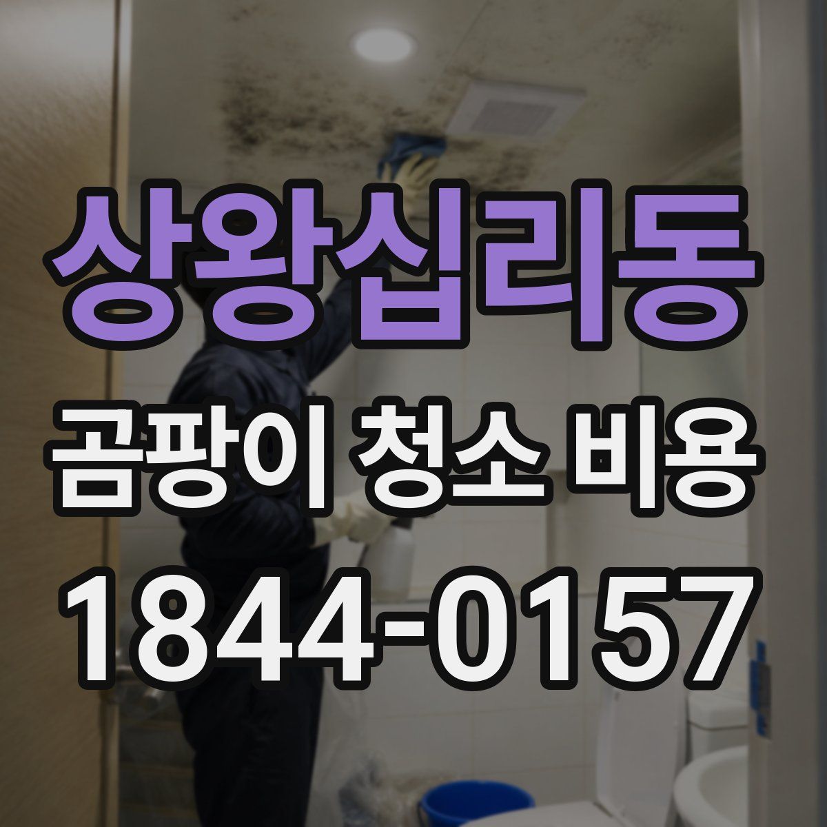 상왕십리동 곰팡이 청소 비용