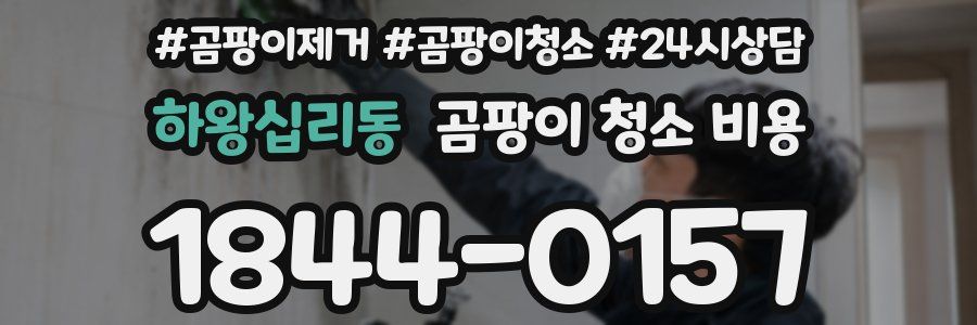 하왕십리동 곰팡이 청소 비용