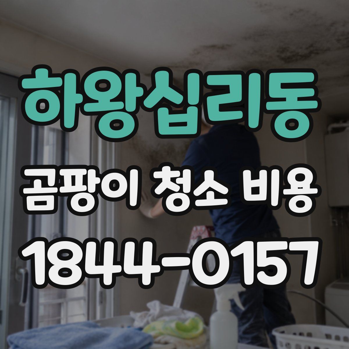 하왕십리동 곰팡이 청소 비용