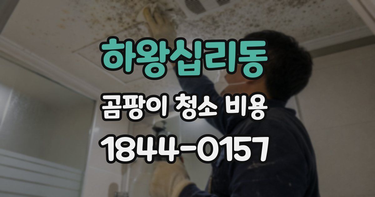 하왕십리동 곰팡이 청소 비용