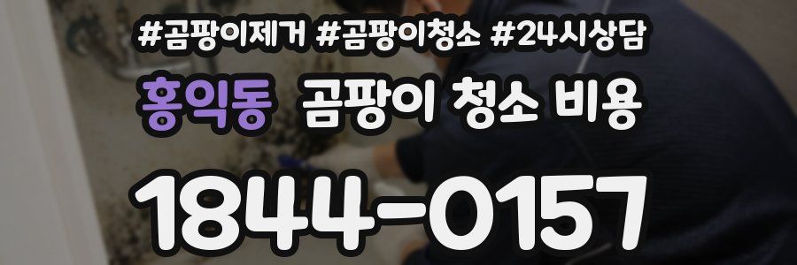 홍익동 곰팡이 청소 비용