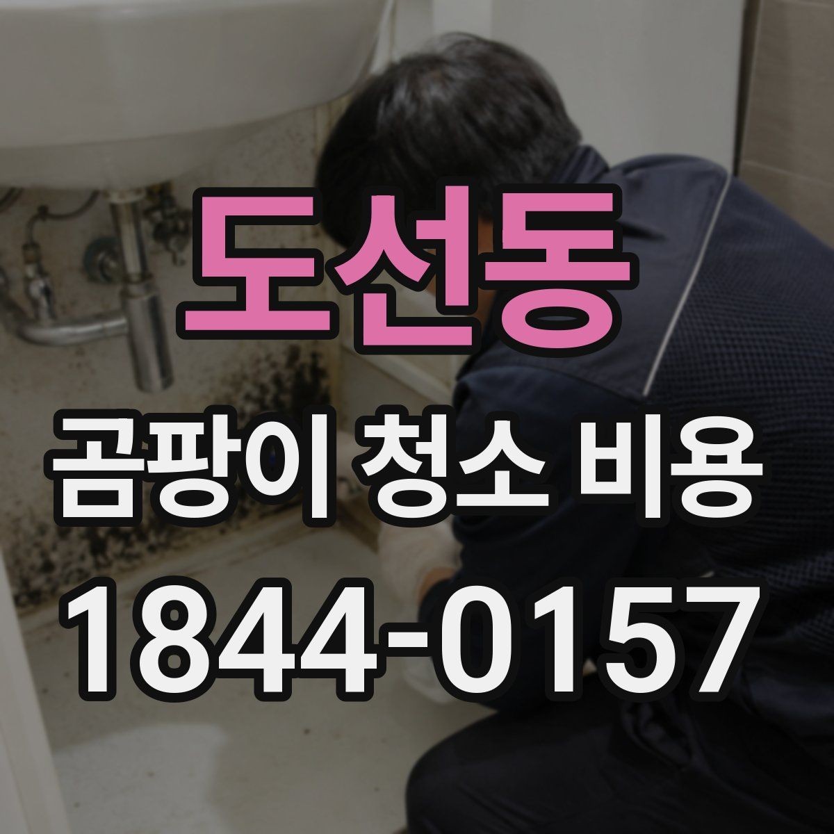 도선동 곰팡이 청소 비용 곰팡이 범위에 따라 달라지는 견적 요소
