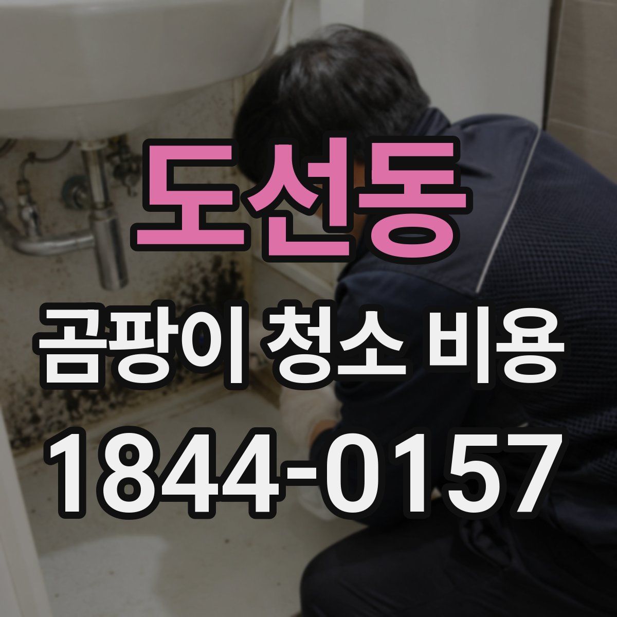 도선동 곰팡이 청소 비용