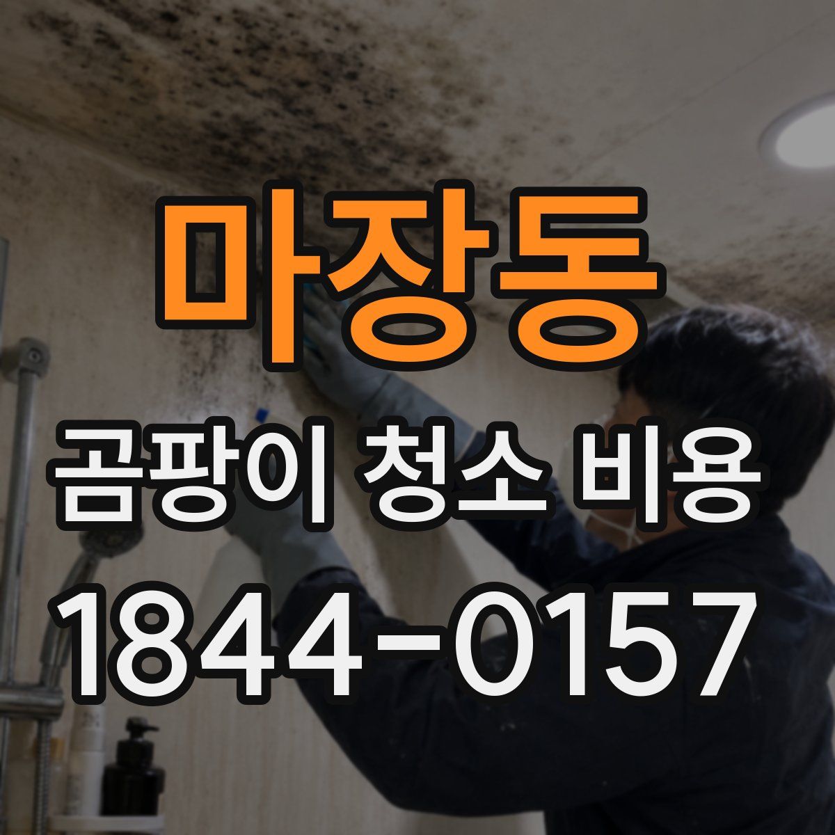 마장동 곰팡이 청소 비용