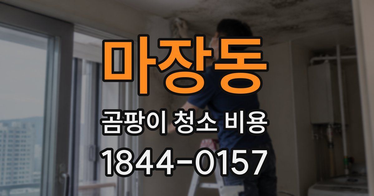 마장동 곰팡이 청소 비용