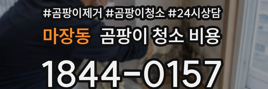 마장동 곰팡이 청소 비용