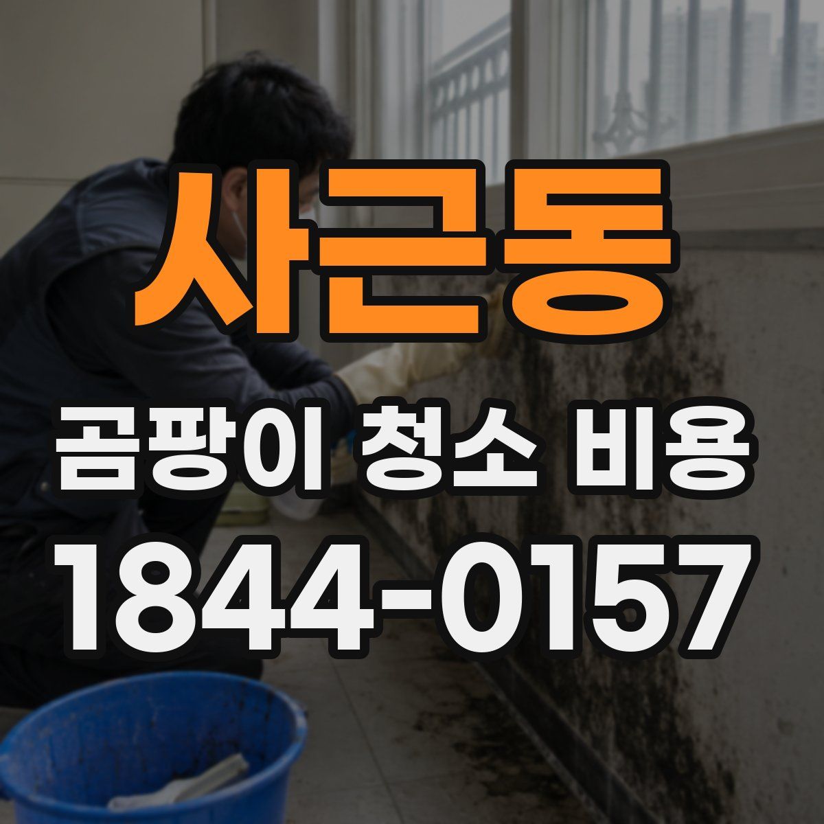 사근동 곰팡이 청소 비용