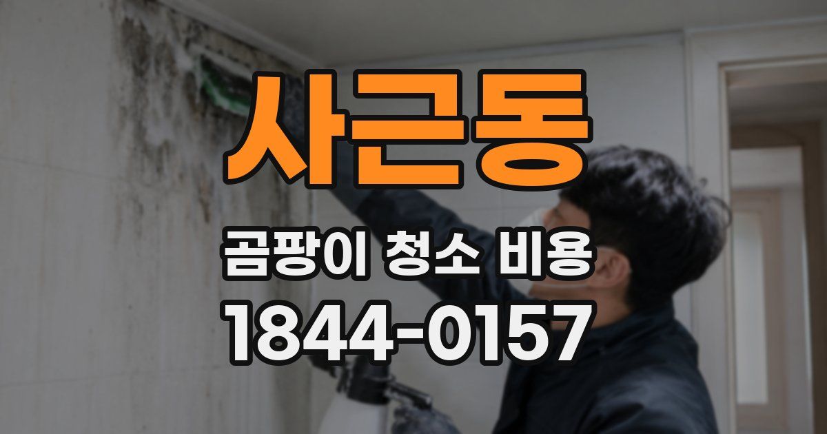 사근동 곰팡이 청소 비용