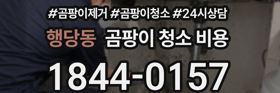 행당동 곰팡이 청소 비용
