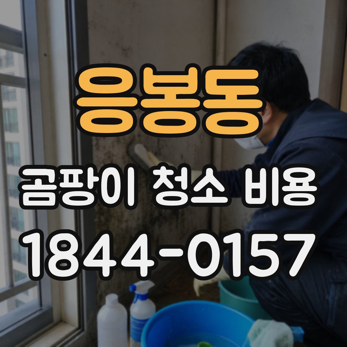 응봉동 곰팡이 청소 비용