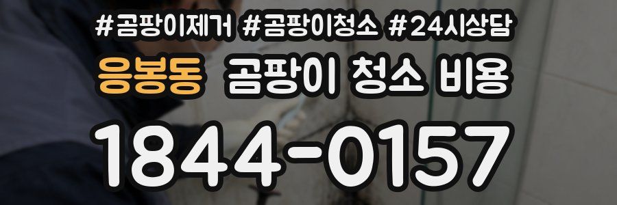 응봉동 곰팡이 청소 비용