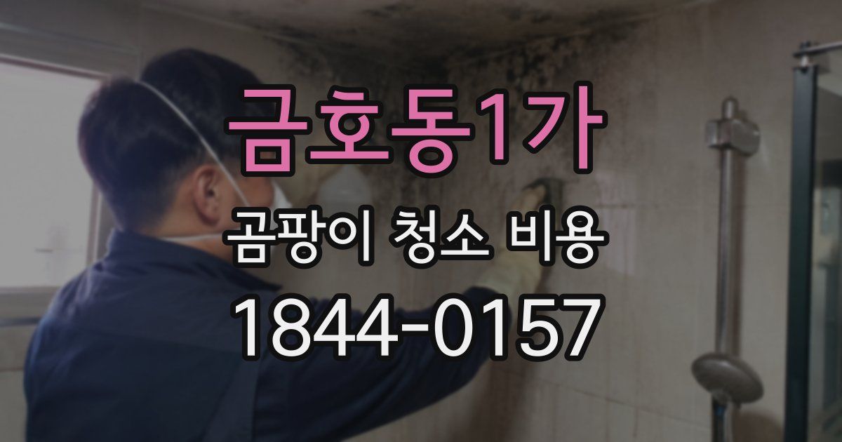 금호동1가 곰팡이 청소 비용