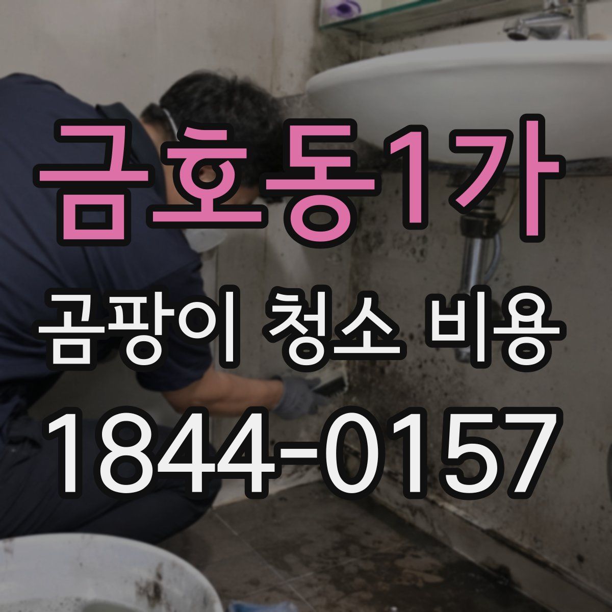 금호동1가 곰팡이 청소 비용