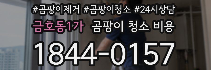 금호동1가 곰팡이 청소 비용