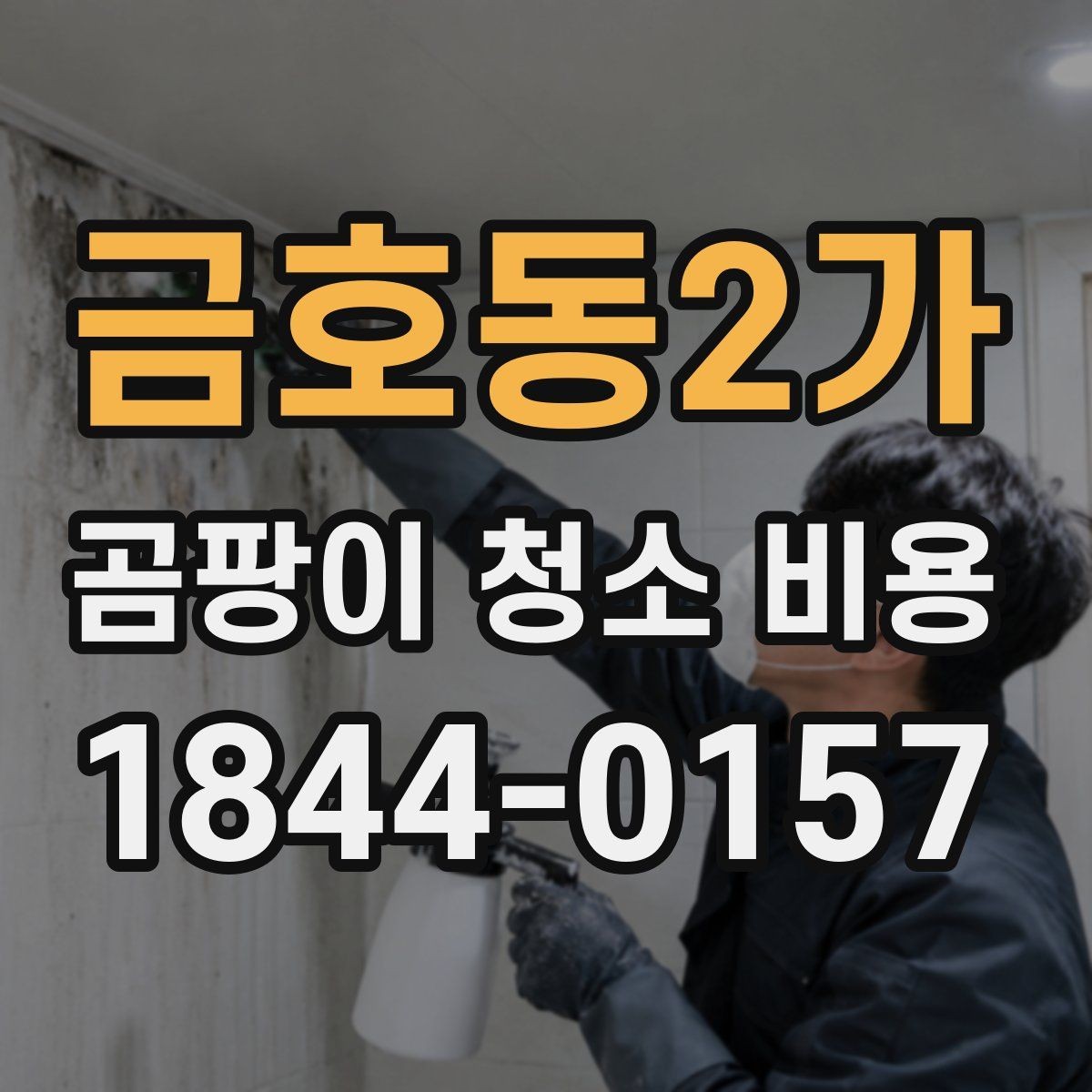 금호동2가 곰팡이 청소 비용 곰팡이 냄새까지 함께 잡으려면