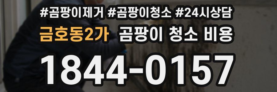 금호동2가 곰팡이 청소 비용
