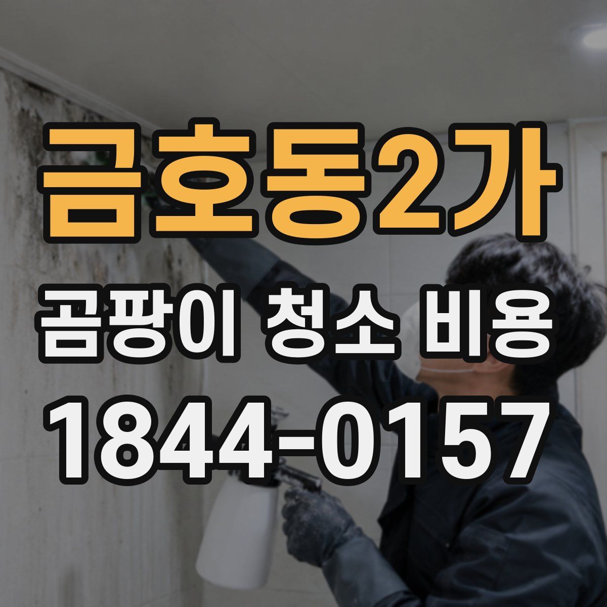 금호동2가 곰팡이 청소 비용