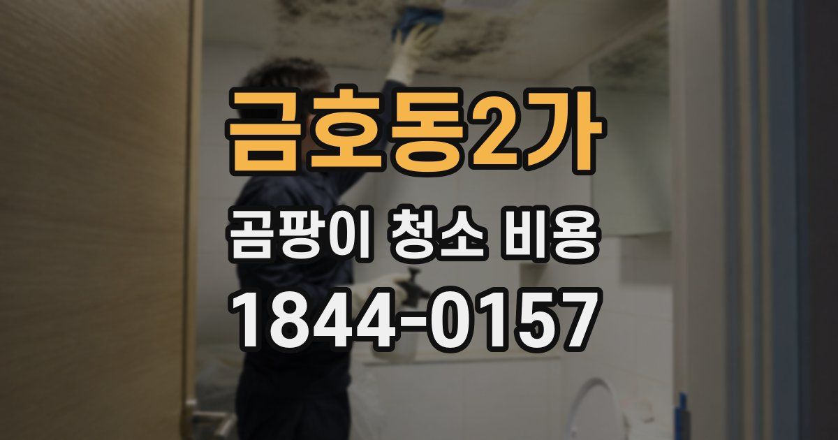 금호동2가 곰팡이 청소 비용