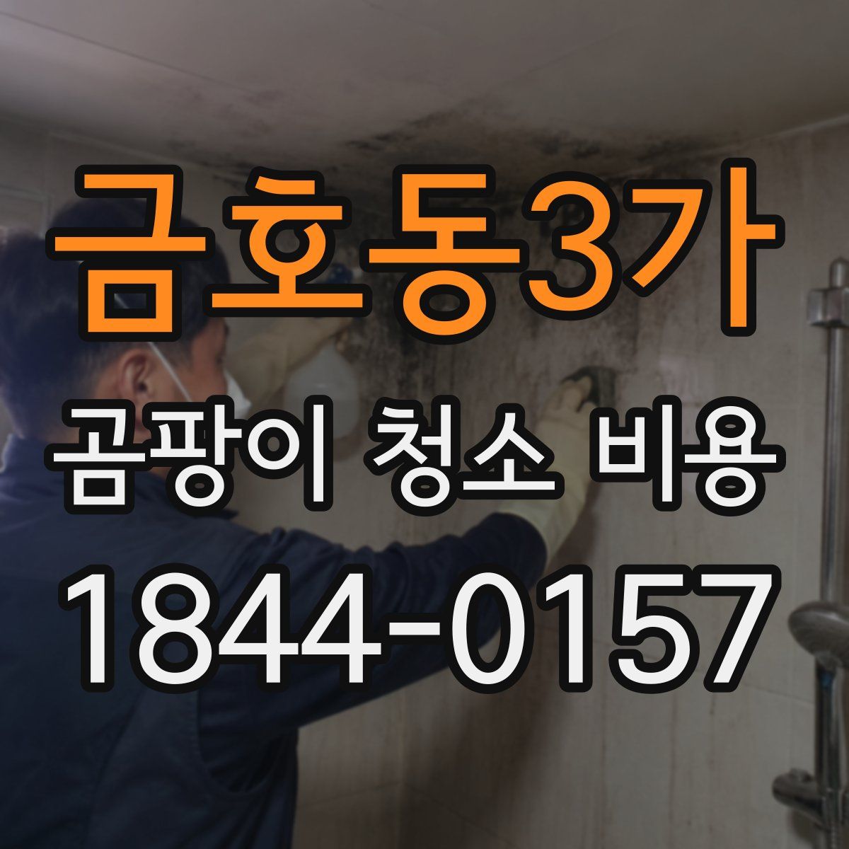 금호동3가 곰팡이 청소 비용