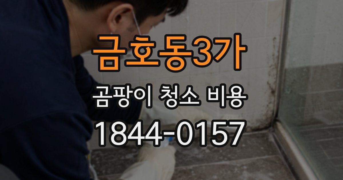 금호동3가 곰팡이 청소 비용