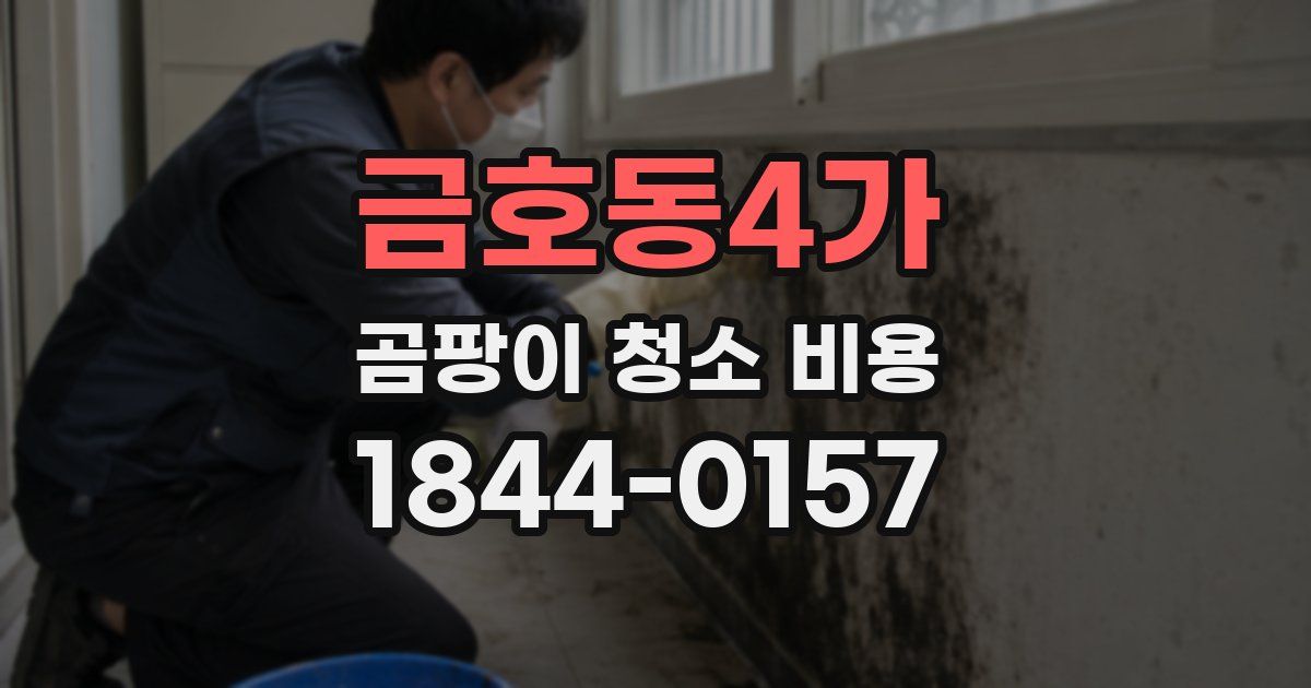 금호동4가 곰팡이 청소 비용