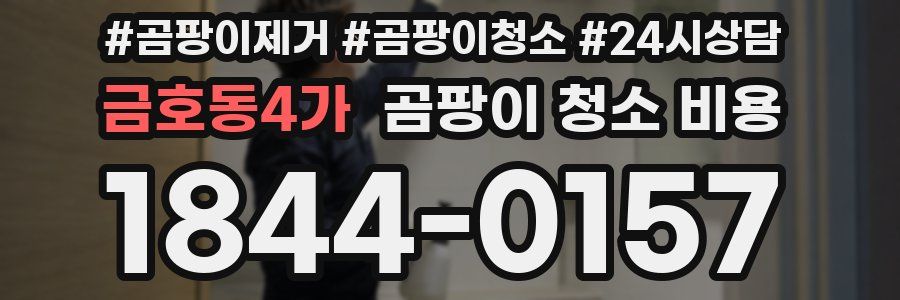 금호동4가 곰팡이 청소 비용