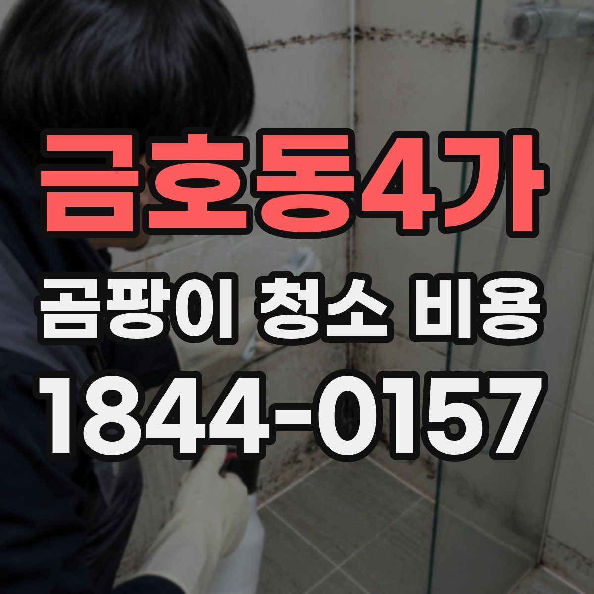 금호동4가 곰팡이 청소 비용