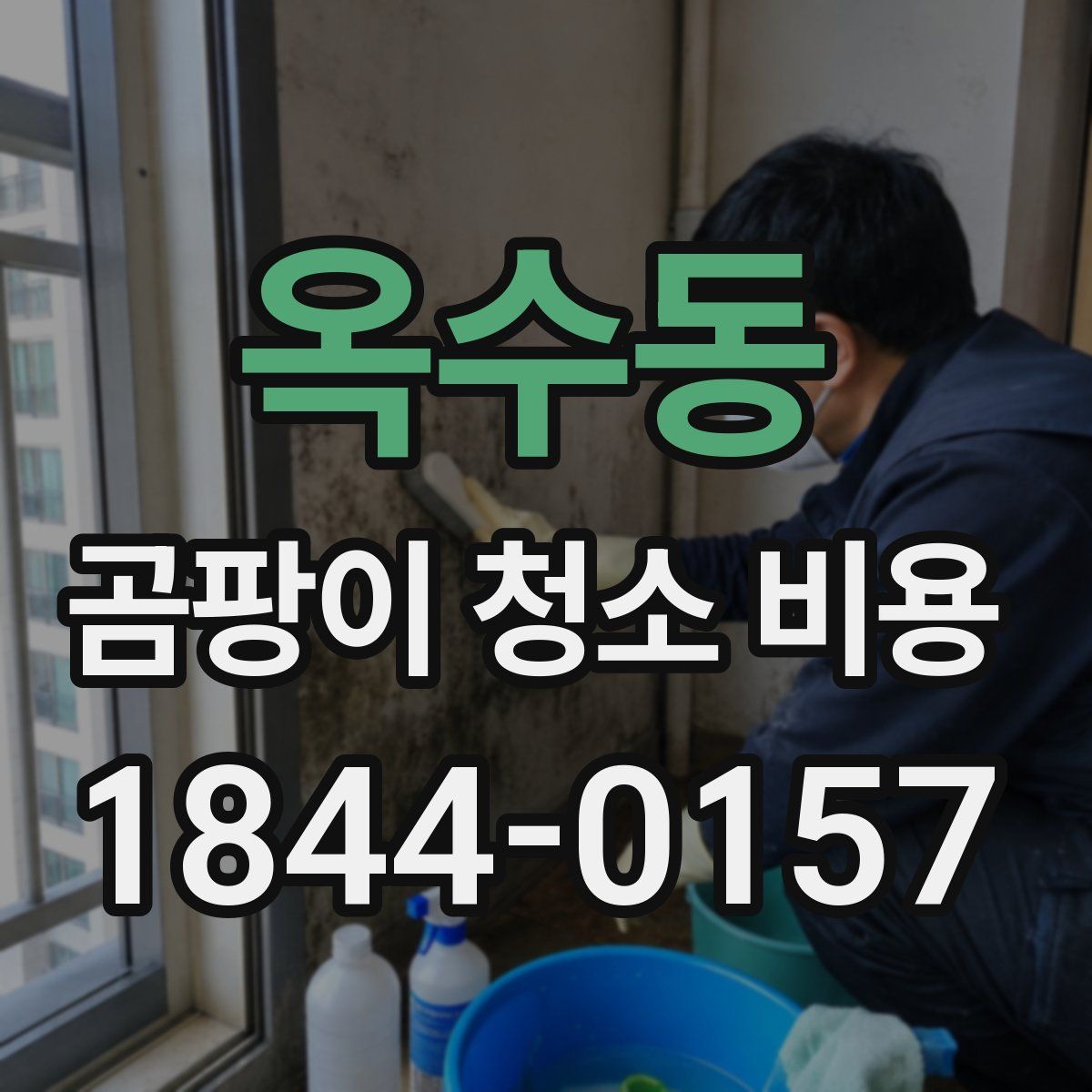 옥수동 곰팡이 청소 비용