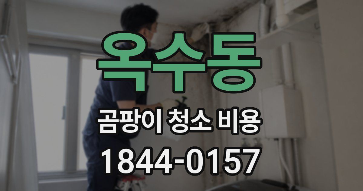 옥수동 곰팡이 청소 비용