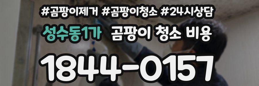 성수동1가 곰팡이 청소 비용