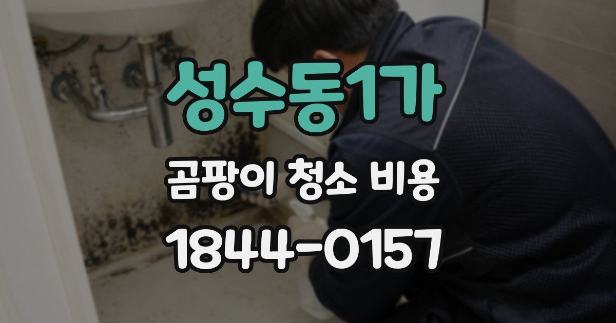 성수동1가 곰팡이 청소 비용