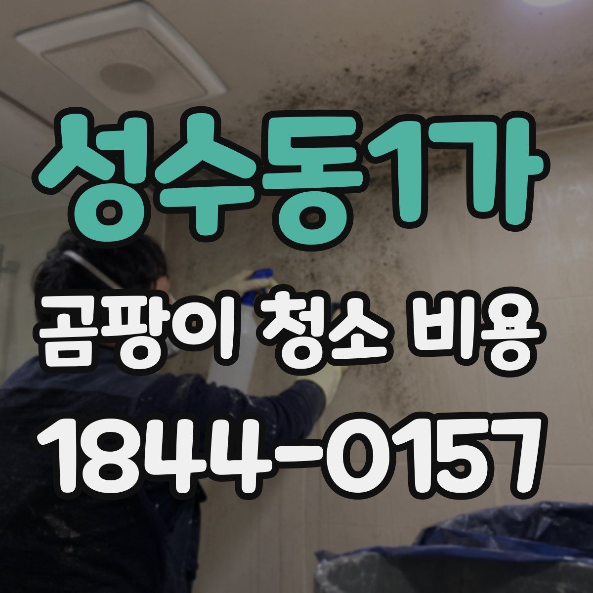 성수동1가 곰팡이 청소 비용